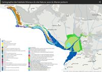 13665 Cartographie des habitats littoraux détaillés du site Natura 2000 du Marais poitevin 