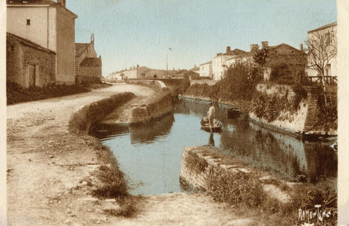 Le Marais poitevin vendéen - Vix - Canal du Pont-aux-Chèvres