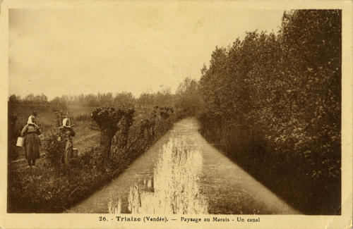 Triaize - Paysage au Marais - Un canal
