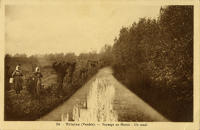 13504 Triaize - Paysage au Marais - Un canal 
