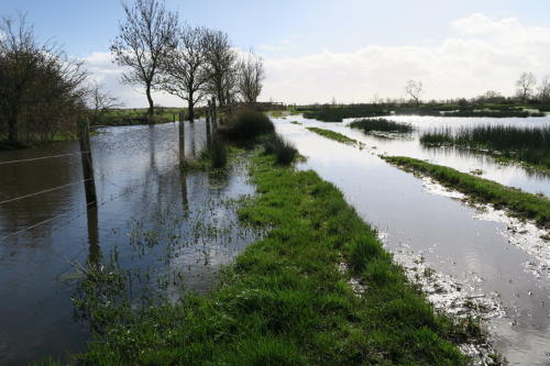 Chemin inondé près de Luçon