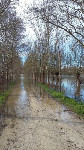 Chemin inondé dans le Marais poitevin - 14 février 2016