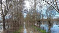 13813 Chemin inondé dans le Marais poitevin - 14 février 2016 