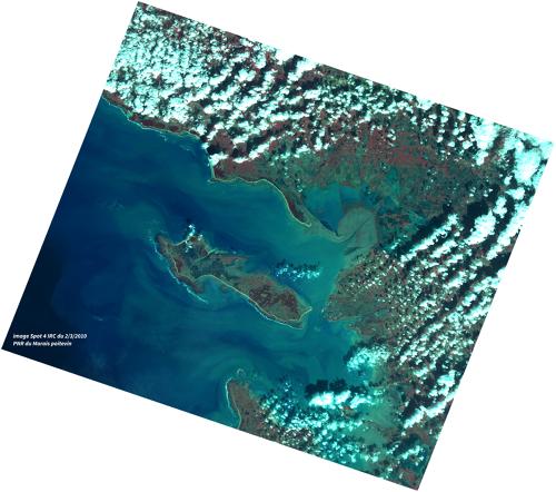 Image Satellite Spot 4 du 2 mars 2010 (infra-rouge couleur)