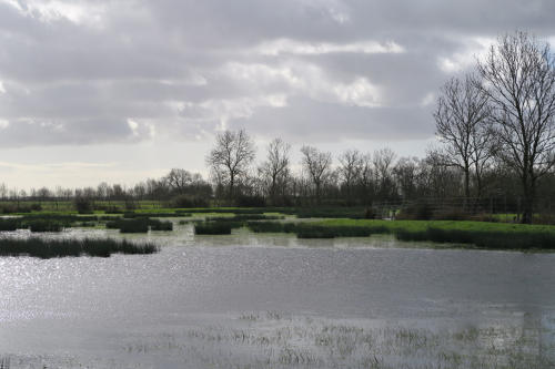 Prairies inondées près de Luçon