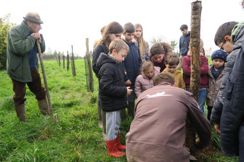 Des élèves de 3 classes (du CP au CM1) plantent des arbres à Rosnay