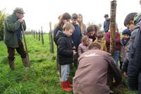 14014 Des élèves de 3 classes (du CP au CM1) plantent des arbres à Rosnay 