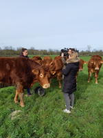 14032 Reportage France 2 pour le JT du 13h du 28 février 2020 sur la viande bovine marquée Parc 