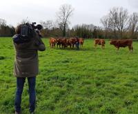 14035 Reportage France 2 pour le JT du 13h du 28 février 2020 sur la viande bovine marquée Parc 
