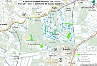 14247 Chantiers de restauration paysagère du site classé - Bilan PARMM 2017 dans la commune de Sansais (section A) 