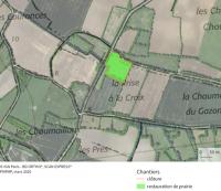 14269 Chantiers de restauration paysagère du site classé - Projets PARMM 2019 dans la commune de Saint-Georges-de-Rex 
