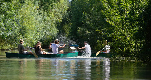 Balade en canoë à Saint-Hilaire-la-Palud
