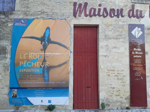 Exposition "Le Roi Pêcheur" à la Maison du Marais poitevin - Coulon