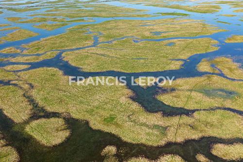 Vue aérienne des marais des Magnils-Reigniers