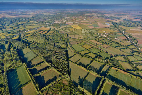 Vue aérienne du Marais mouillé dans le Marais poitevin