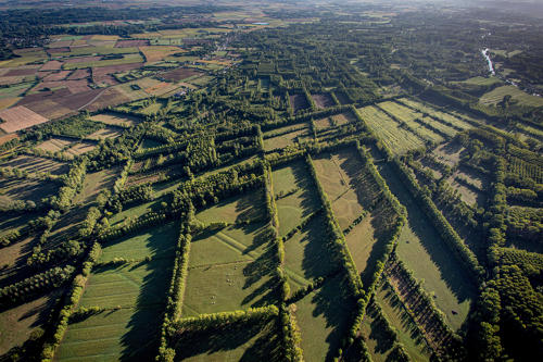 Vue aérienne du Marais mouillé dans le Marais poitevin