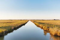 15094 Un canal dans le marais desséché 