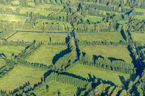 Vue aérienne du marais mouillé au dessus de La Garette (79) et Le Vanneau-Irleau (79)