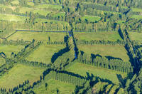 14985 Vue aérienne du marais mouillé au dessus de La Garette (79) et Le Vanneau-Irleau (79) 