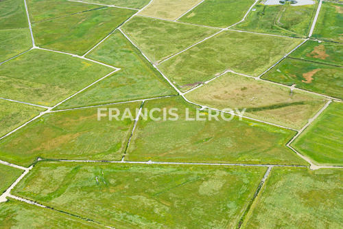 Vue aérienne de parcelles agricoles - La Tranche-sur-Mer (85)