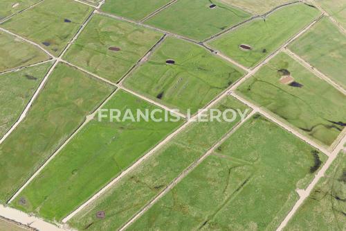 Prairies sur la commune d'Angles (85) - Vue aérienne