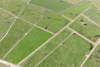 14913 Prairies sur la commune d'Angles (85) - Vue aérienne 