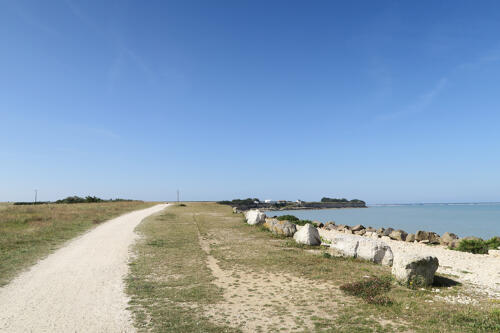 Le littoral au bord de la réserve naturelle volontaire du Marais de Pampin - La Rochelle (17)