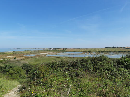 La réserve naturelle volontaire du Marais de Pampin - La Rochelle (17)