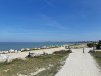 15345 Le littoral au bord de la réserve naturelle volontaire du Marais de Pampin - La Rochelle (17) 