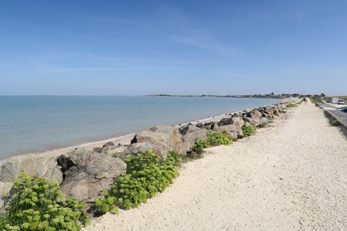 Le littoral au bord de la réserve naturelle volontaire du Marais de Pampin - La Rochelle (17)