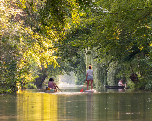 Promenade en canoë et en paddle sur la Rigole de La Garette