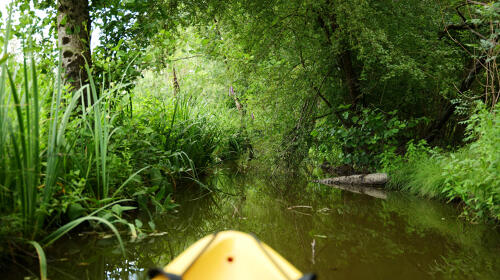 Randonnée en canoë dans le marais de Saint-Hilaire-la-Palud (79)