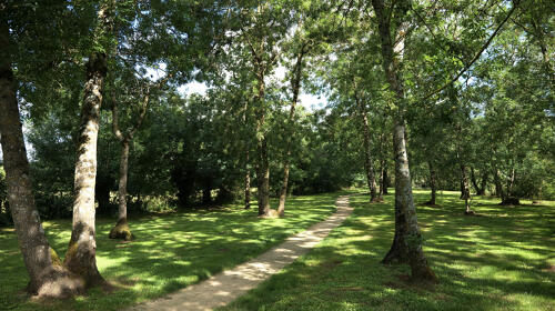 Le long de l'Autize, dans le Parc du Château du Vigneau - Nieul-sur-l'Autise (85)