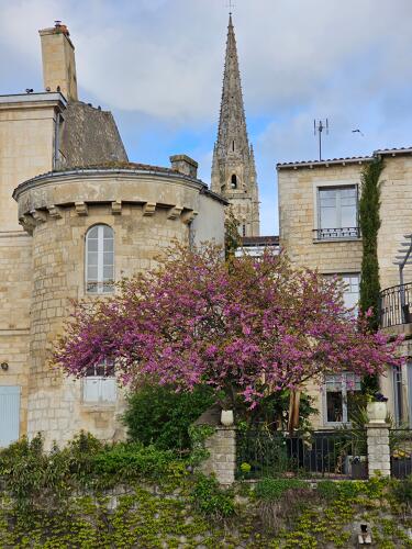 Fontenay-le-Comte (85) - Vestiges de l'ancienne fortification et des murs d'enceinte de la ville