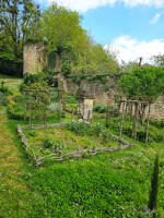 15501 Fontenay-le-Comte (85) - Le Parc Baron et le jardin médiéval 
