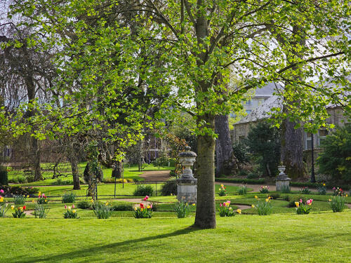 Fontenay-le-Comte (85) - Le jardin de la Mairie