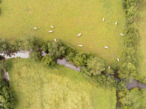 Vue aérienne sports de nature dans le marais mouillé à Le Vanneau-Irleau
