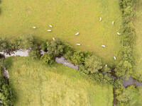 15671 Vue aérienne sports de nature dans le marais mouillé à Le Vanneau-Irleau 