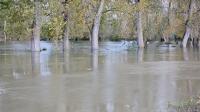 15712 Inondations à Coulon-Sansais - novembre 2023 