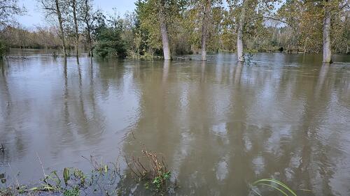 Inondations à Coulon-Sansais - novembre 2023