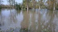15714 Inondations à Coulon-Sansais - novembre 2023 