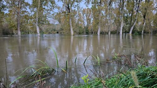 Inondations à Coulon-Sansais - novembre 2023