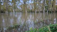 15717 Inondations à Coulon-Sansais - novembre 2023 