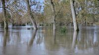 15718 Inondations à Coulon-Sansais - novembre 2023 