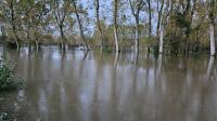 15719 Inondations à Coulon-Sansais - novembre 2023 