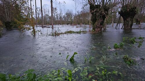 Inondations à Le Vanneau-Irleau - novembre 2023