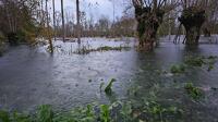 15722 Inondations à Le Vanneau-Irleau - novembre 2023 