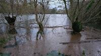 15723 Inondations à Le Vanneau-Irleau - novembre 2023 