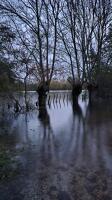 15727 Inondations à Le Vanneau-Irleau - novembre 2023 